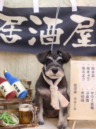 20240620ひじきちゃん